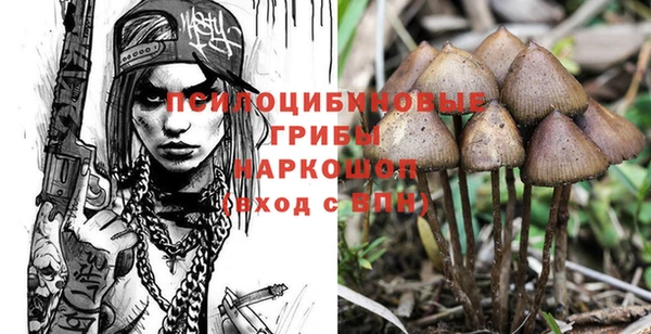мдпв Арсеньев